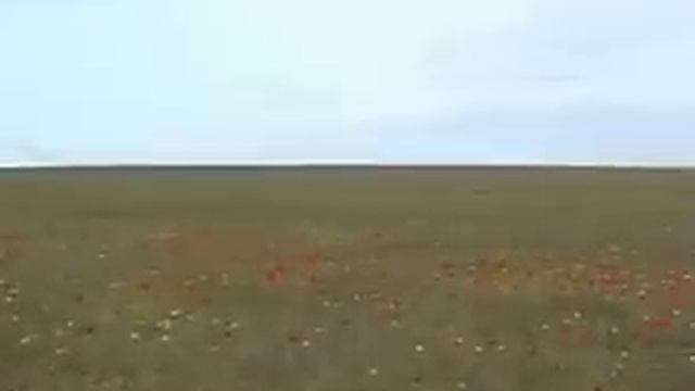 Виктория VITA - МОЙ ПУТЬ смотреть онлайн