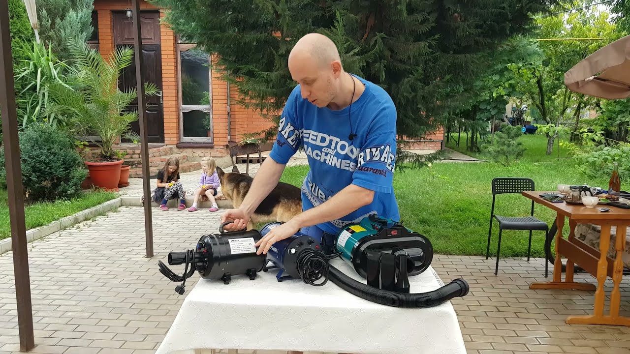 Турбосушка для #детейлинга #автомойки #животных! Обзор трёх видов смотреть онлайн