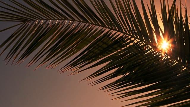 ВСЕ СЕКРЕТЫ ПРИВЛЕЧЕНИЯ ДЕНЕГ И УДАЧИ. Как быстро стать богатым и счастливым смотреть онлайн