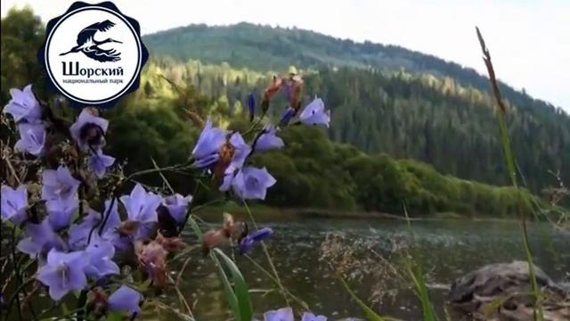 Шорский национальный парк, Кемеровская область смотреть онлайн