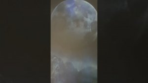 Планетарий "Сириус" в Сочи Парке.