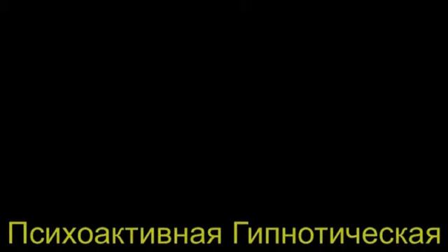 Как Избавиться от Страха Перед Дракой! 100 смотреть онлайн