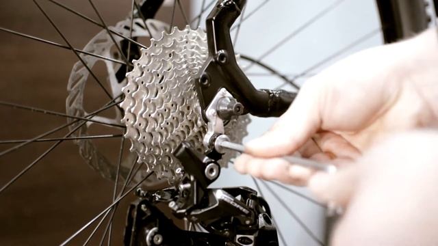 Building Bike Focus Crater Lake 29 er смотреть онлайн