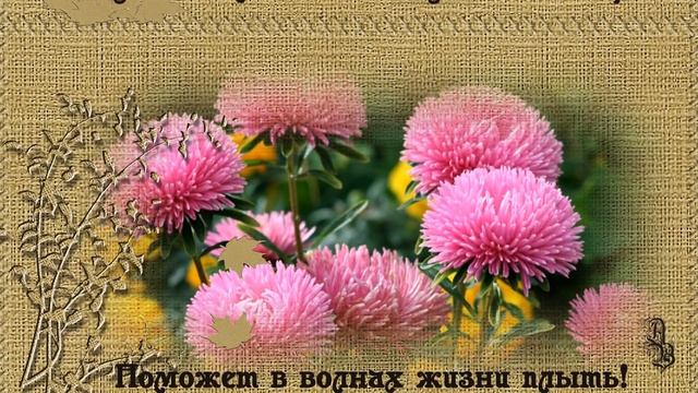 День пожилых людей. Красивое поздравление с днем пожилого человека смотреть онлайн