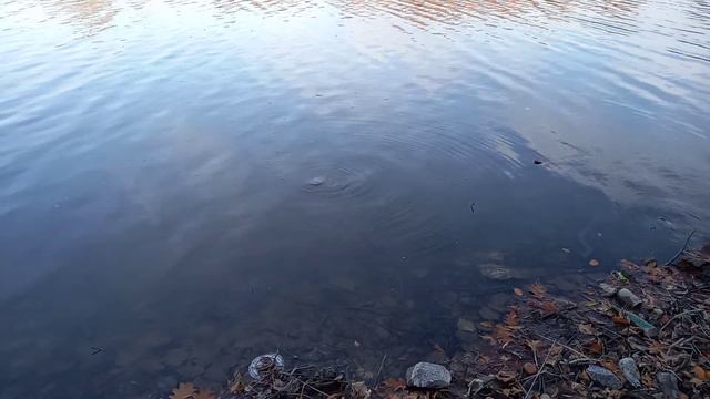Гидропарк Умань смотреть онлайн