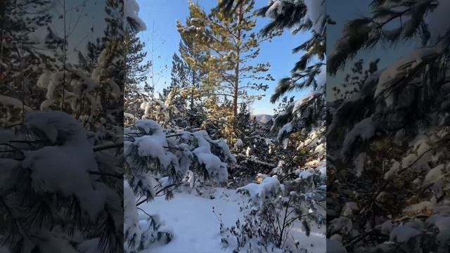 Зимняя сказка в Якутии ????г. Нерюнгри, республика Саха-Якутия #якутия #туризм #зима #россия смотреть онлайн