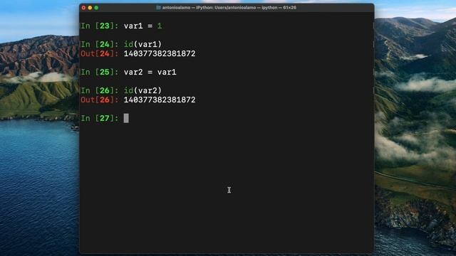 Learn Python In 30 Days- Day 02- Variable смотреть онлайн
