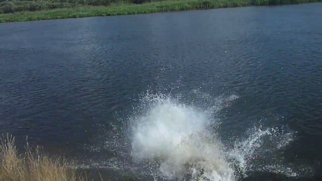 Ивье. Неман. Отдых. Бухло.(2) смотреть онлайн