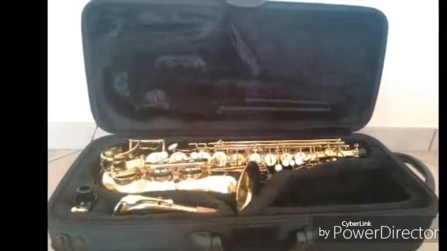 Alt saksofon Sequoia Lacquer смотреть онлайн
