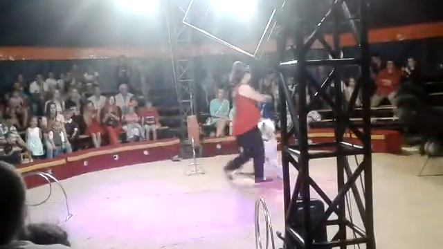 Пудели в деле смотреть онлайн