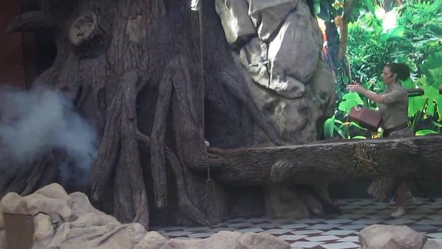 Шоу попугаев, Лоро парк (Loro Parque Tenerife), 2013 год, часть 2 смотреть онлайн