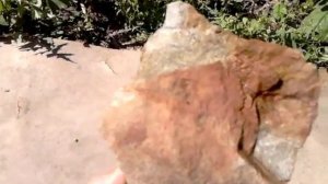 Золото!!!!  Поиск золота! Нашел золотой камень!