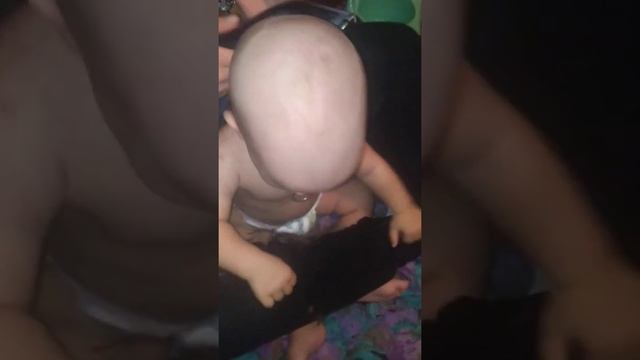 Налысо подстригли