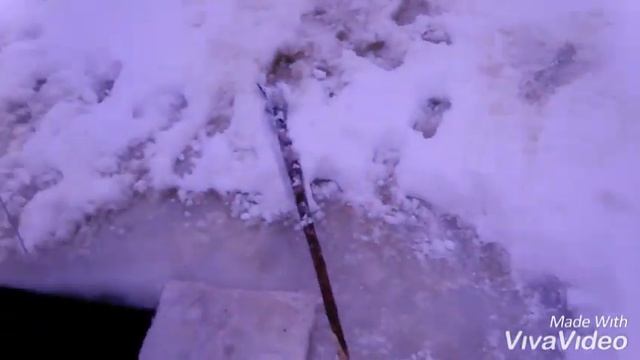 "РЫБАЛКА В КАРЕЛИИ" 30 ЯНВАРЯ 2020г. ПРОВЕРЯЕМ СЕТИ ПОСТАВЛЕННЫЕ НА СУДАКА. смотреть онлайн