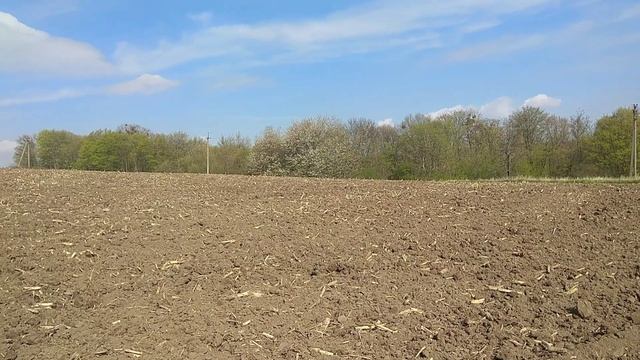 МАЙСКИЙ КОП МОНЕТ НА ПОЛЯХ, КОП С НОКТА МАКРО СИМПЛЕКС ПЛЮС. смотреть онлайн