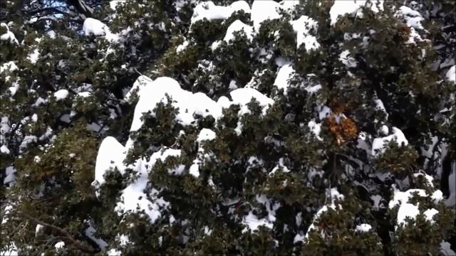Ifrane, Morocco смотреть онлайн