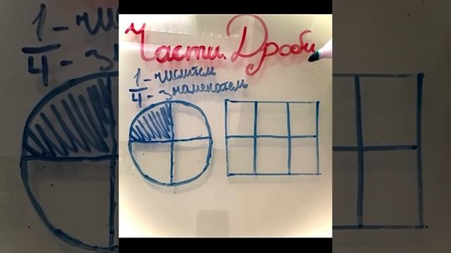 Математика 4 класс. Части. Дроби. смотреть онлайн