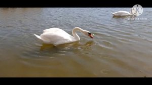 С праздником Весны, Труда и Мира!