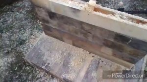Как правильно сделать утеплённую будку для собаки
