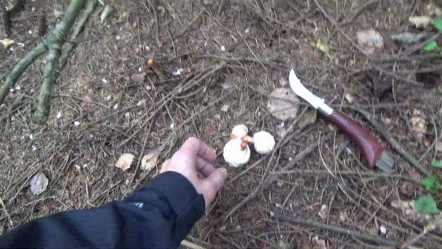 Октябрь - пора рядовки фиолетовой. смотреть онлайн