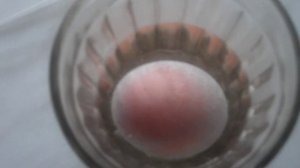 Яйцо в уксусе