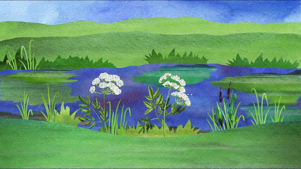 25.2. Чем опасны растения для человека смотреть онлайн