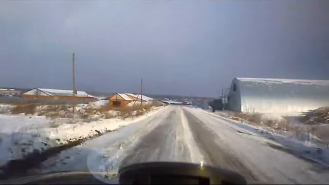 Овцы на дороге.mp4