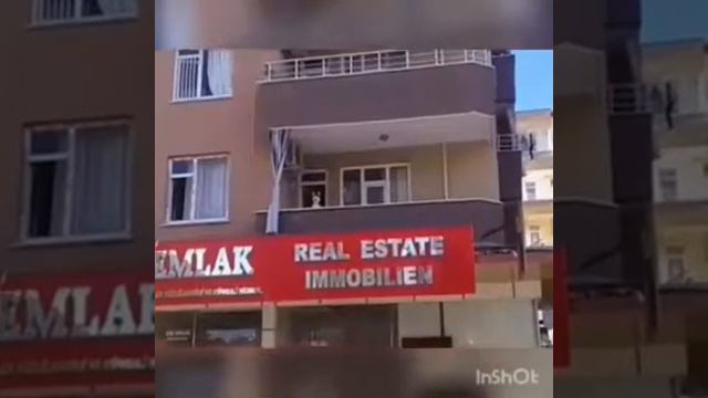 Azan. Азан повторяет лайка, за муэдзином. смотреть онлайн
