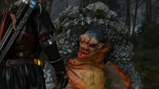 Witcher3 Новиград Смертельный заговор