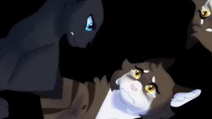 Коты Воители; Остролистая, Клип «Заново». [Заказ от канала Nightail.]