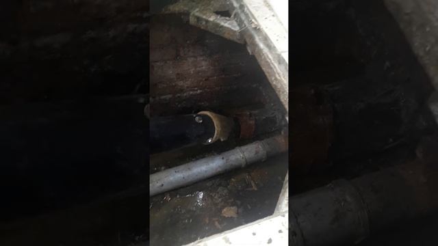 Бестраншейная замена канализационной трубы. смотреть онлайн