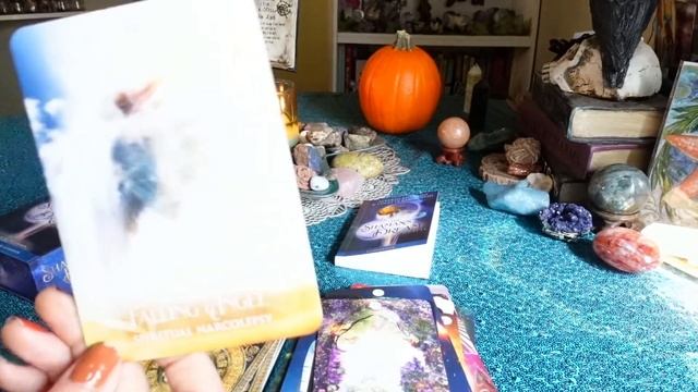 The Shaman's Dream Oracle ~ Flip Through смотреть онлайн