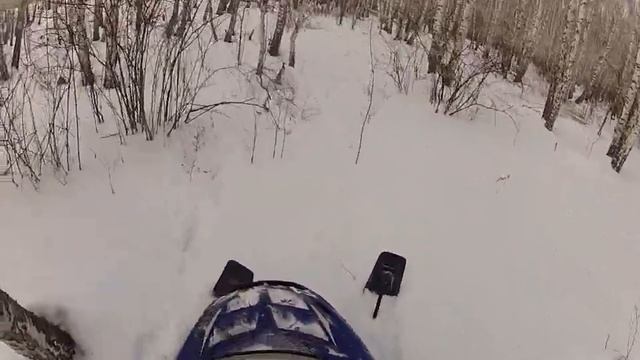 фотоохота на лису смотреть онлайн