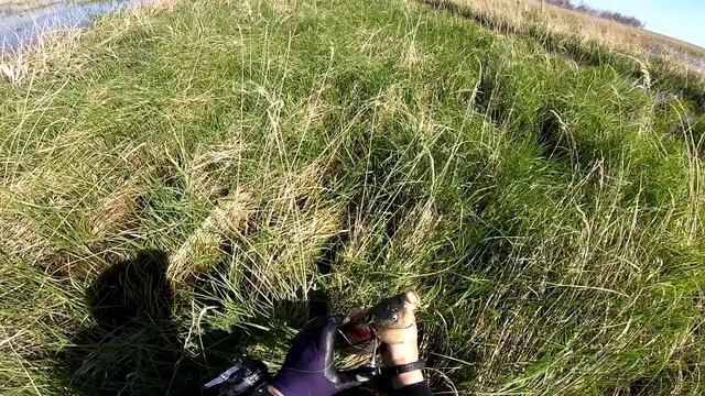 Рыбалка с рогаткой в России , рогатка с aliexpress для рыбалки ??? Сазан кишит Рыбалка сазан Рыбалк смотреть онлайн