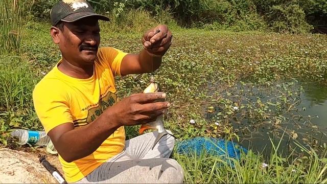 Village Fishing || Catching Deffrent Fishes In Pond