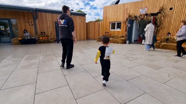 GEORGE HISTERIS GA MAU MASUK KEBUN || JADI GAGAL PETIK LABU HALLOWEEN 🎃 смотреть онлайн