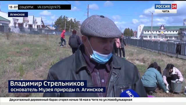 В Агинском прошла акция "Посади дерево", посвященная 240-летию окружного центра смотреть онлайн