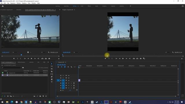 Instagram Video Size and Export Settings Tutorial | Adobe Premiere Pro 2021 смотреть онлайн