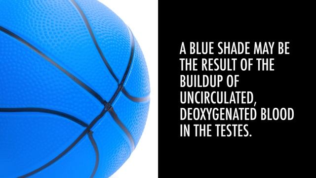Are Blue Balls Real? смотреть онлайн