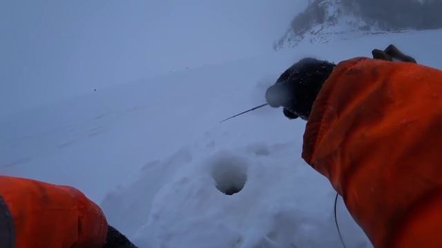 Вот это КОРЯГА. Зимняя рыбалка на Волге. смотреть онлайн