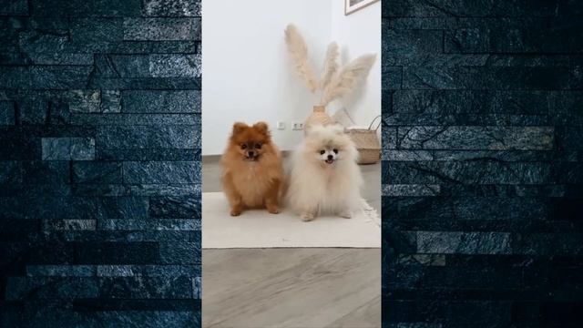 Потихоньку движемся в сторону выходных смотреть онлайн