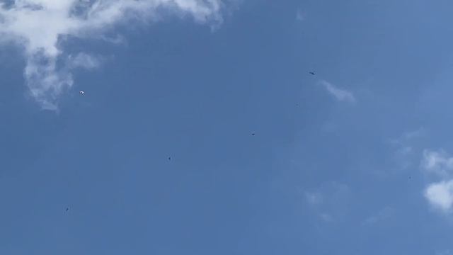 ПОЛЁТ НА ПАРАПЛАНЕ! ПОТЕРЯЛИ КОТА! ДЕНЬ ШИРУНА В БУДВЕ смотреть онлайн