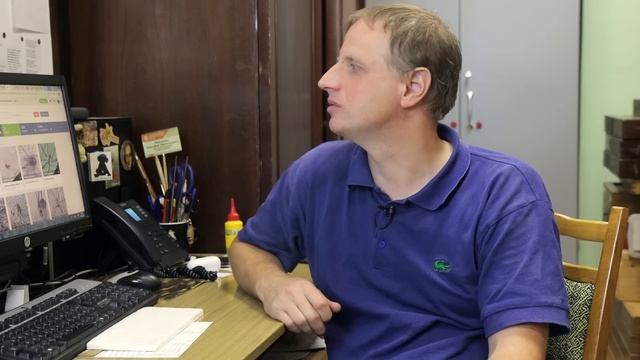 Сенокосцы: пауки или нет? Тимофей Левченко смотреть онлайн