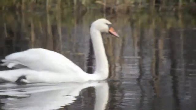 Fujifilm Finepix S4800 Zoom Test