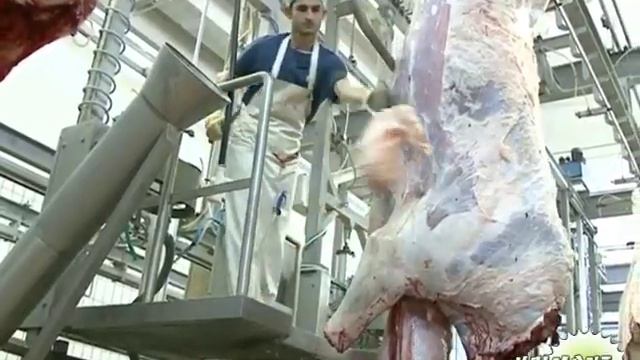 Убой крс в Италии смотреть онлайн