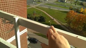 Достали птицы на балконе?