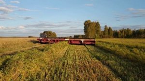 Рапс на свал, жатка Палесье ЖВЗ-10.7