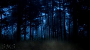 Акила. Страшные истории на ночь. Мистика. Некромант. Ведьмак.  фамильяры. Страшные истории.