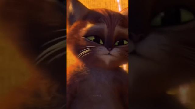 B M W ❤️🔥 смотреть онлайн