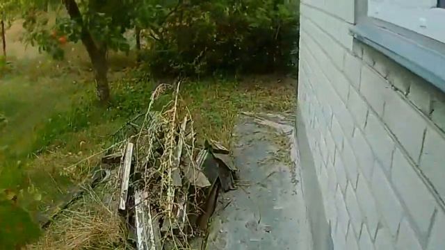 VLOG / С Петей на даче / Рум Тур по участку - что у нас выросло ? Готовим баранину по узбекски . смотреть онлайн